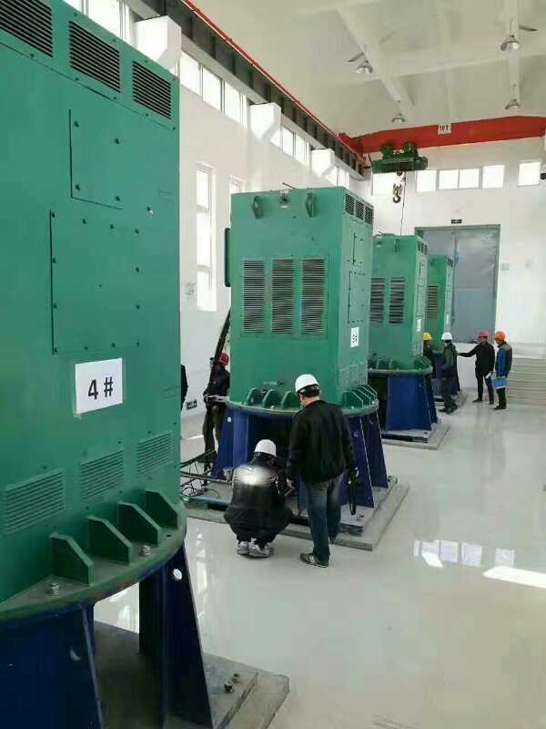 浦城某污水处理厂使用我厂的立式高压电机安装现场