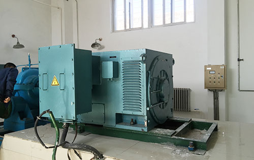 浦城某水电站工程主水泵使用我公司高压电机一年质保